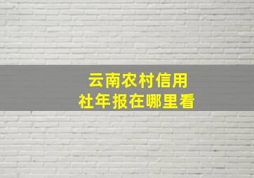 云南农村信用社年报在哪里看