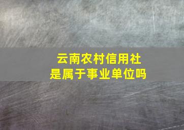 云南农村信用社是属于事业单位吗