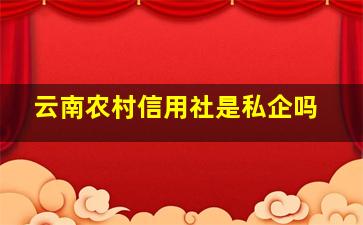 云南农村信用社是私企吗