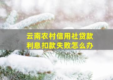 云南农村信用社贷款利息扣款失败怎么办