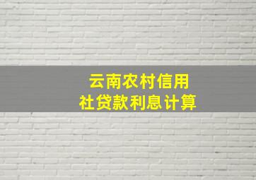 云南农村信用社贷款利息计算