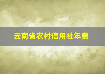 云南省农村信用社年费