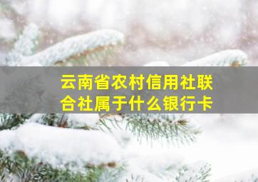 云南省农村信用社联合社属于什么银行卡