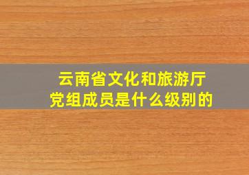 云南省文化和旅游厅党组成员是什么级别的