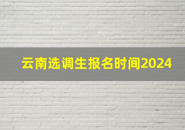 云南选调生报名时间2024