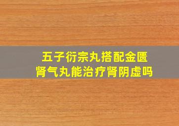 五子衍宗丸搭配金匮肾气丸能治疗肾阴虚吗