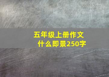 五年级上册作文什么即景250字