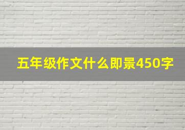 五年级作文什么即景450字