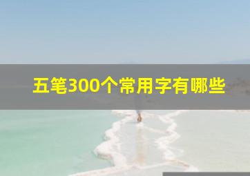 五笔300个常用字有哪些