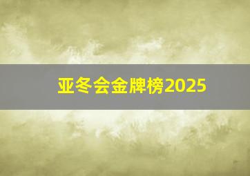 亚冬会金牌榜2025