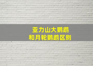 亚力山大鹦鹉和月轮鹦鹉区别