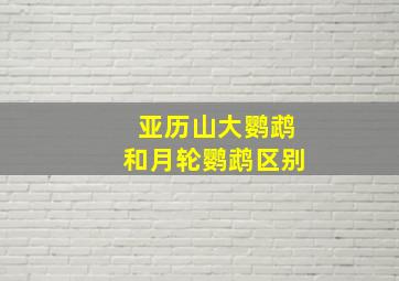 亚历山大鹦鹉和月轮鹦鹉区别