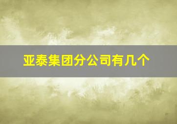 亚泰集团分公司有几个