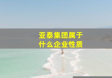 亚泰集团属于什么企业性质