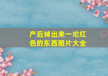 产后掉出来一坨红色的东西图片大全