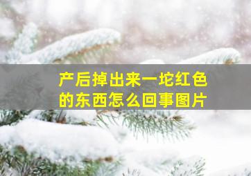 产后掉出来一坨红色的东西怎么回事图片