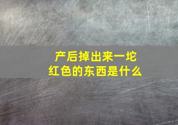 产后掉出来一坨红色的东西是什么