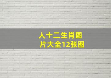 人十二生肖图片大全12张图