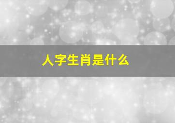 人字生肖是什么