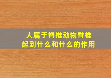 人属于脊椎动物脊椎起到什么和什么的作用