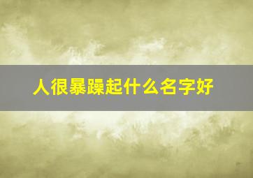 人很暴躁起什么名字好