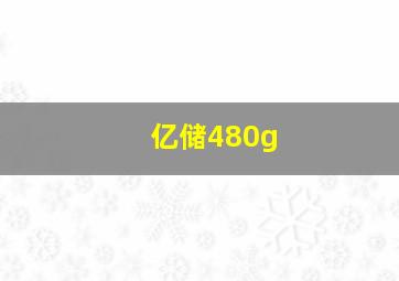 亿储480g