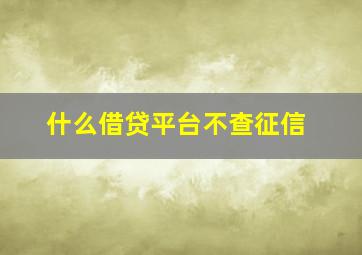 什么借贷平台不查征信