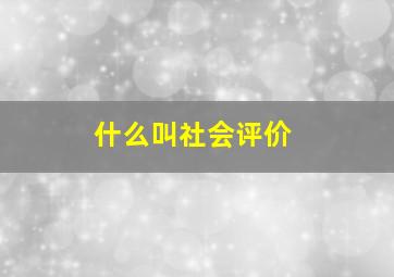 什么叫社会评价