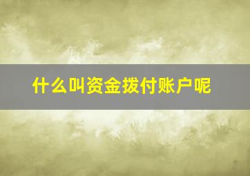 什么叫资金拨付账户呢