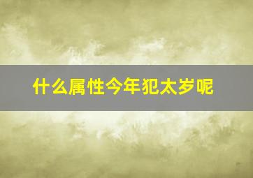 什么属性今年犯太岁呢