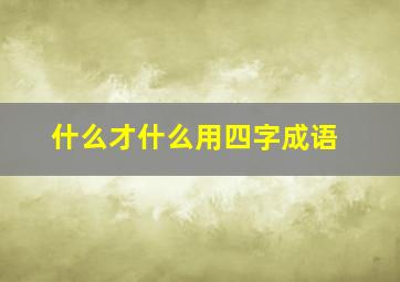 什么才什么用四字成语