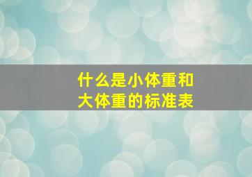 什么是小体重和大体重的标准表