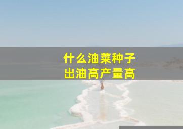 什么油菜种子出油高产量高