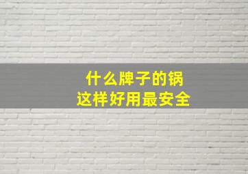 什么牌子的锅这样好用最安全