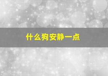 什么狗安静一点