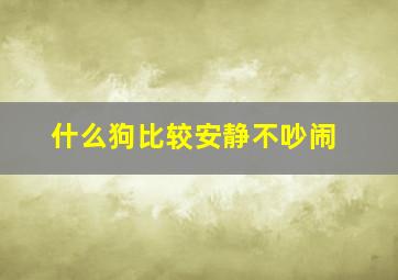 什么狗比较安静不吵闹