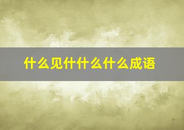 什么见什什么什么成语