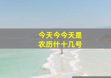 今天今今天是农历什十几号