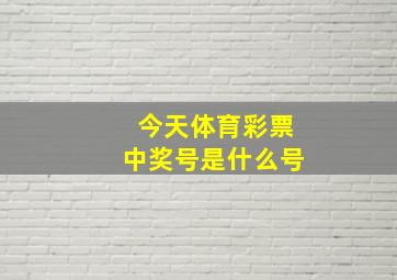 今天体育彩票中奖号是什么号