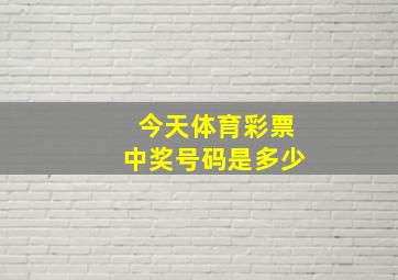 今天体育彩票中奖号码是多少