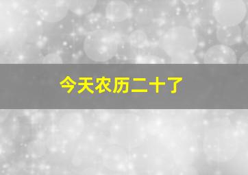 今天农历二十了