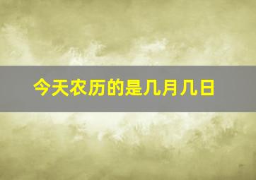 今天农历的是几月几日