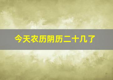 今天农历阴历二十几了