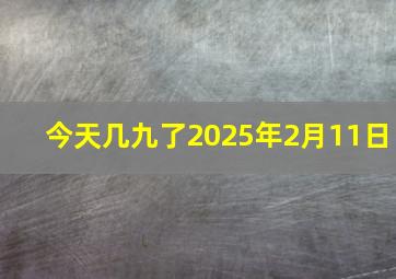 今天几九了2025年2月11日