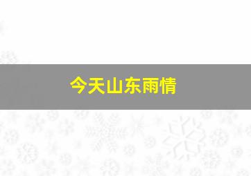 今天山东雨情