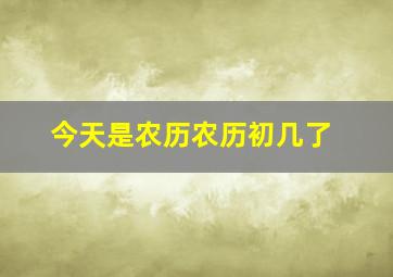 今天是农历农历初几了