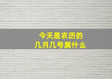 今天是农历的几月几号属什么