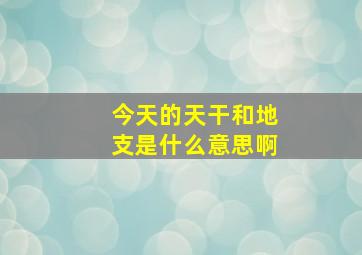 今天的天干和地支是什么意思啊