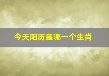 今天阳历是哪一个生肖