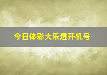 今日体彩大乐透开机号